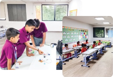 School Library and Resources